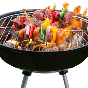 Kardval Braai Stand